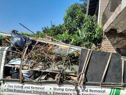 Best Dumpster Rental Services  in Sylvania, OH